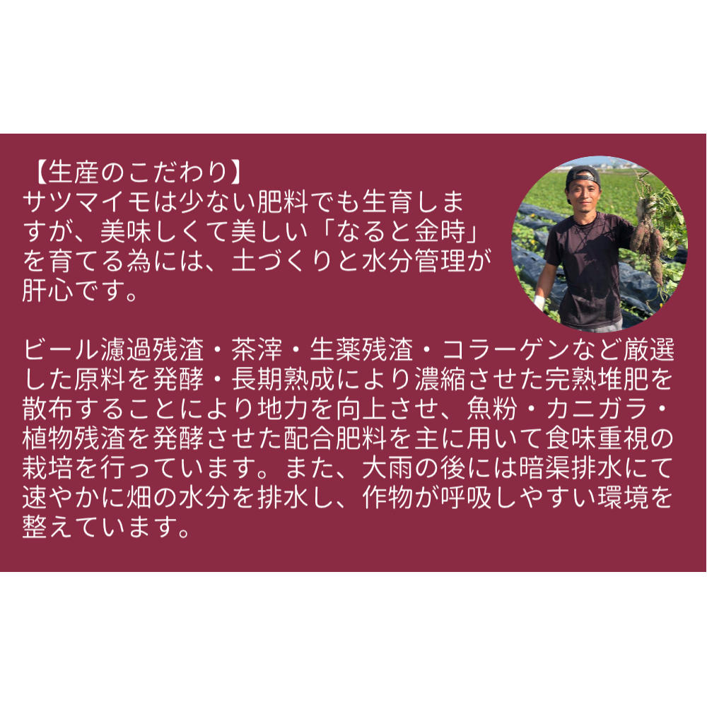 【木元農園】八代目の なると金時 約3kg 【 予約受付中・2024年11月頃より順次発送 】 | 鳴門金時 甘い ホクホク 熟成 産地直送 スイーツ おやつ 焼きいも 天ぷら 干し芋 スイートポテト