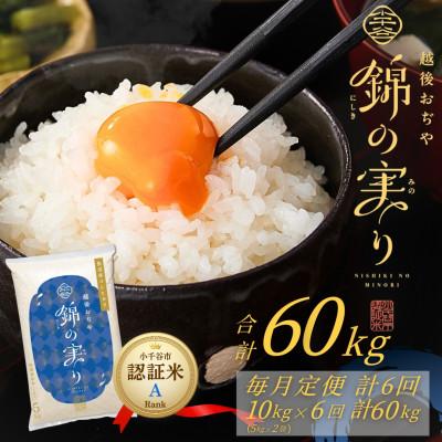 ふるさと納税 小千谷市 【毎月定期便】魚沼産コシヒカリ 小千谷市ブランド認証米「錦の実り」Aランク 精米10kg全6回