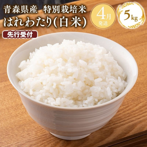 ≪令和8年産 先行予約≫4月上旬よりお届け! 　特別栽培米 はれわたり白米5kg【青森県 平川市】米 お米 精米 青森県産 産地直送