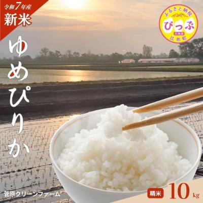 ふるさと納税 比布町 【先行予約】【菅原クリーンファーム】2025年産 ゆめぴりか 10kg 精米 特Aランク
