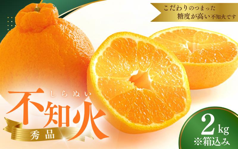 【先行予約】秀品 ハウス不知火 2kg※箱込み【L～4Lのサイズおまかせ】【2026年1月下旬から2026年２月下旬頃に順次発送】＜味好農園＞/不知火 デコポン 蜜柑 みかん 柑橘 果物 フルーツ 【