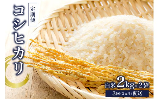【定期便】コシヒカリ白米2kg×2【2025年産】【3か月連続でお届け】 mi0015-0003 おにぎり 白米 お米 ブランド米 精米