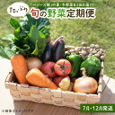 【ふるさと納税】「ベジーズ館」の夏・冬野菜　年2回コース （7月と12月発送）【たっぷりセット】