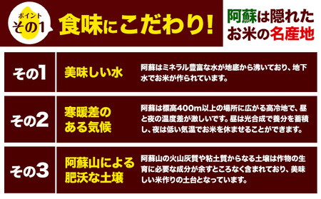 【6ヶ月定期便】令和6年産 新米 定期便 こしひかり 無洗米 定期便 10kg 精米 熊本県産(南阿蘇村産含む)  南阿蘇村《申込み翌月から発送》｜人気米 熊本県産米  生活応援米