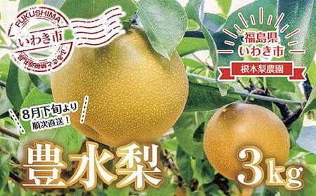 《先行予約》いわき市産梨　豊水3kg（約6～8個）