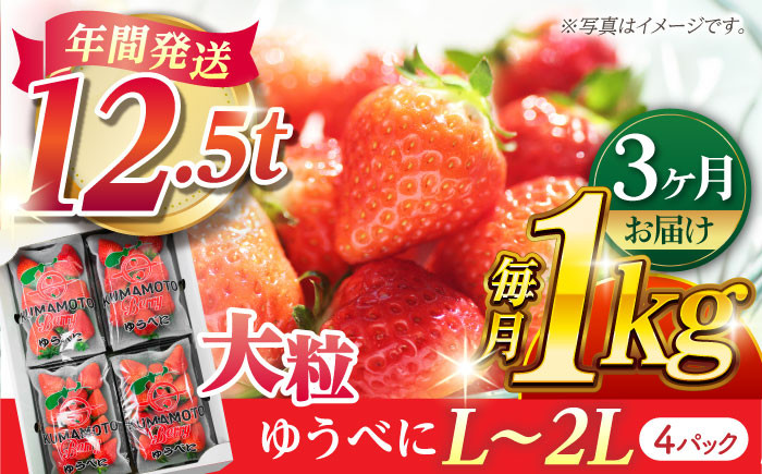 
            【先行予約】【3回定期便】大粒いちご L～2L ゆうべに 1kg（4pc）【熊本ベリー】フルーツ 果物 くだもの いちご イチゴ 苺 ゆうべに 大粒いちご 国産 熊本県産 九州産  [ZER004]
          