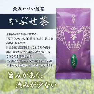 【自宅用日本茶 緑茶】＜八女茶＞許斐本家 玉露白折・かぶせ他 飲み比べ徳用セット　031-005