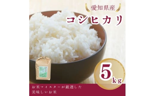 愛知県産 コシヒカリ 5kg｜米 お米 コメ こめ おにぎり 弁当 愛知県 美浜町 新米 ※北海道・沖縄・離島への配送不可
