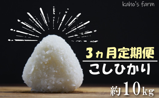 
【3カ月定期便】 コシヒカリ 10kg　令和5年度産
