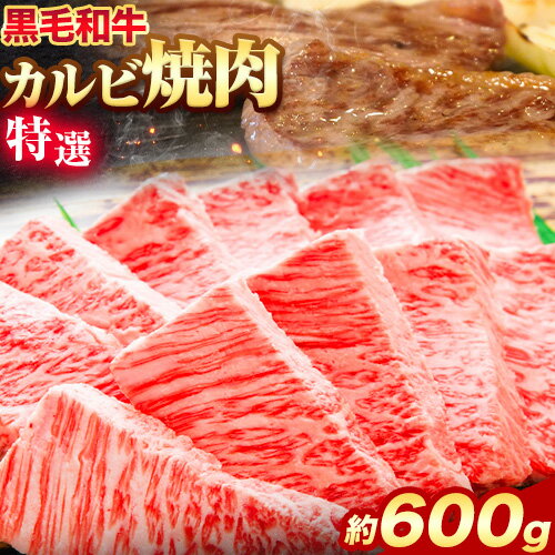 【ふるさと納税】黒毛和牛 特選 カルビ 焼肉 約600g エムエスエイ (株)《30日以内に出荷予定(土日祝除く)》大阪府 羽曳野市 送料無料 牛肉 牛 和牛 焼き肉用 焼き肉