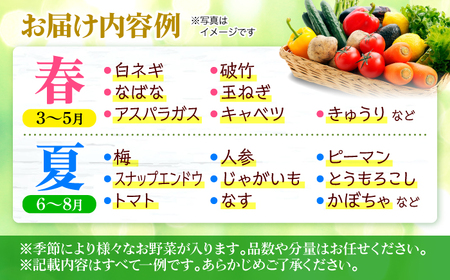 【全3回定期便】厳選！農夫の野菜詰め合わせセット[APBA015] 野菜
