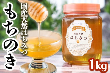 はちみつ 非加熱 純はちみつ もちの木 国産 はちみつ【1kg】
