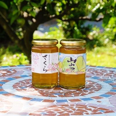 ふるさと納税 小郡市 はちみつ 化粧箱入り 370g×2本セット さくら&amp;やまみつ ギフト[No5354-0324]