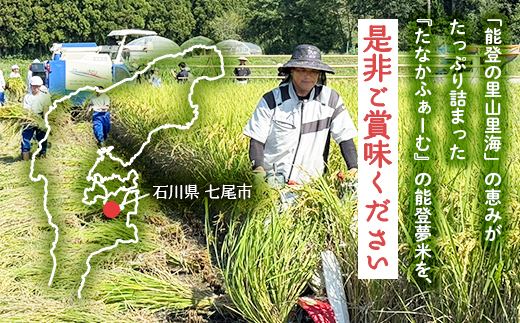 【発送時期が選べる】【新米】令和8年産  能登産 コシヒカリ 能登夢米10kg（精米5kg×2袋）｜お米 白米 精米  こしひかり ブランド米 石川県 七尾市 能登 復興 復興支援