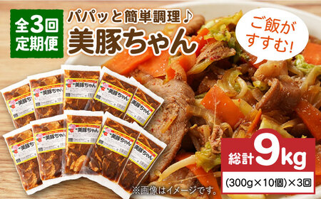 【全3回定期便】 美豚ちゃん 300g×10個 セット レトルト 簡単 おかず【長崎フードサービス】 [PEL014] 簡単 調理 豚肉 豚 レトルト パック 小分け 国産 焼肉 加工 肉 レトルト 簡単 おかず