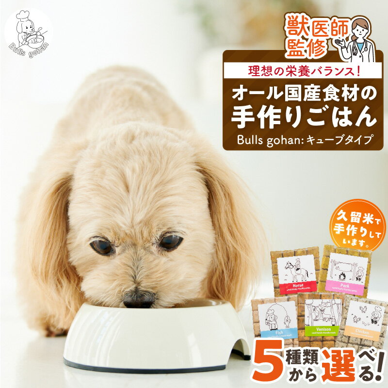 【ふるさと納税】CUBE型 20個入×1袋 無添加ドッグフード 1袋300g(馬肉・豚肉・鹿肉・鶏肉・魚の中から1つ) 国産 手作り アレルギー ウェット 子犬 シニア犬 冷凍 ヒューマングレード 老犬 小型犬 お試し 選べる ペットフード ブルズごはん