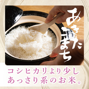 【数量限定】R7年産取手市産あきたこまち 無洗米10kg（5kg×2袋）|お米 米 新米 白米 茨城県 取手市（BS014）