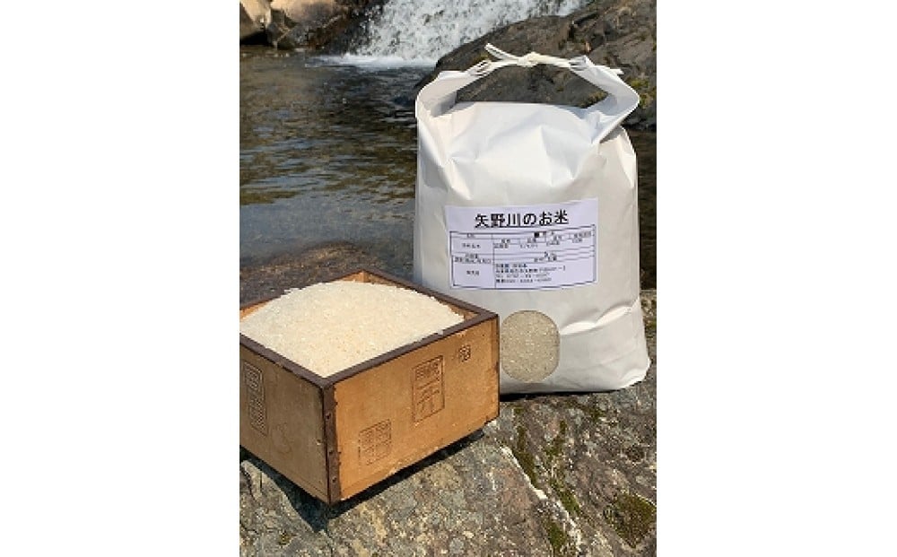 
            【定期便・全3回】矢野川のお米　ヒノヒカリ精米5kgｘ3回
          