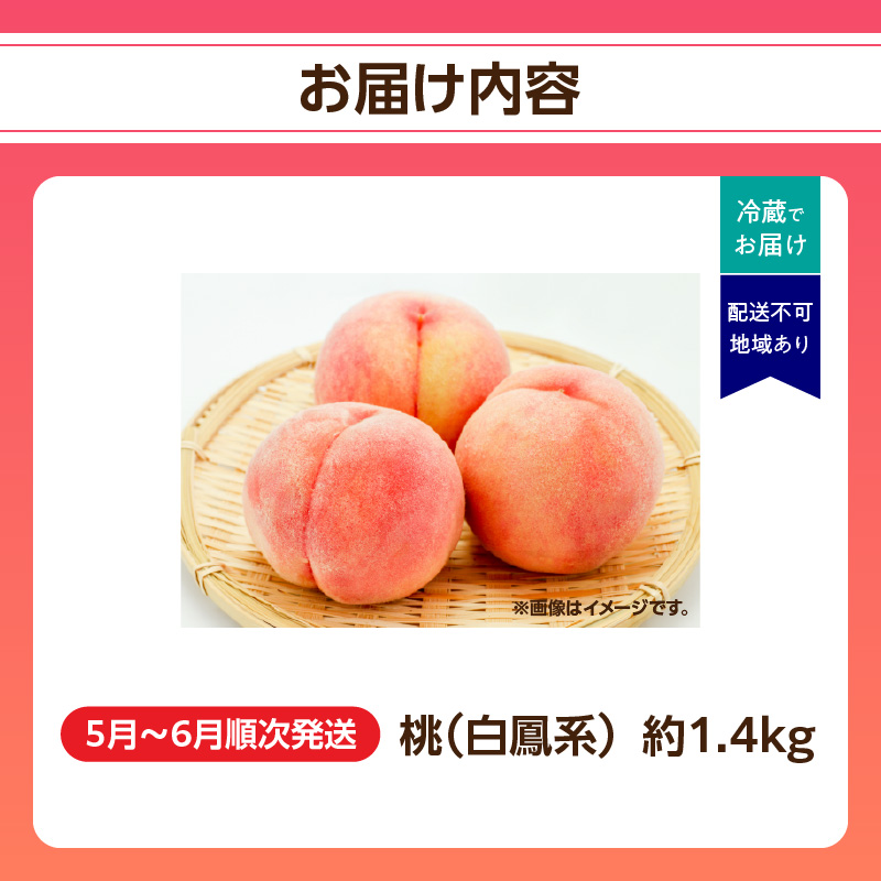 【2025年5月下旬〜6月発送】九州・福岡フルーツ王国八女から直送！桃 約1.4kg＜配送不可：北海道・沖縄・離島＞ 桃 もも モモ フルーツ くだもの 果物 白鳳 1.4kg 産地直送 ジューシー 