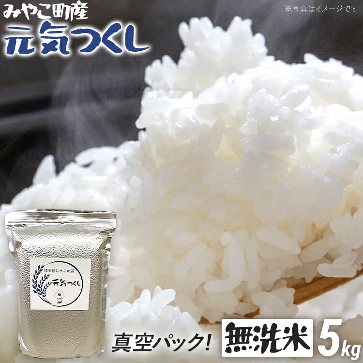【ふるさと納税】福岡県 みやこ町産 元気つくし （無洗米） 5kg 【期間限定】 米 チャック付き チャック 真空パック 防虫 ごはん おにぎり おやつ 福岡県 福岡 九州 グルメ お取り寄せ