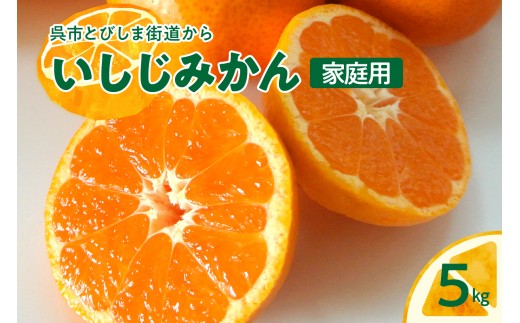 【先行受付】【2026年12月～発送】石地みかん 家庭用5kg ku149-006-26