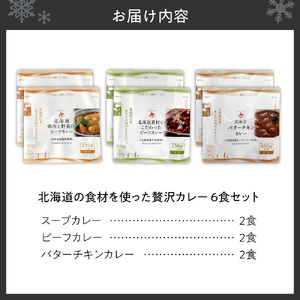 北海道の食材を使った贅沢カレー6食セット｜スープカレー 札幌市