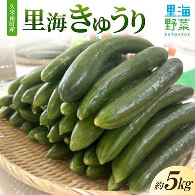 ふるさと納税 久米南町 久米南町産　里海きゅうり 約5kg
