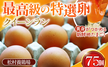 黄身がつかめる新鮮地たまご クイーンラン 赤玉 75個入 No.591