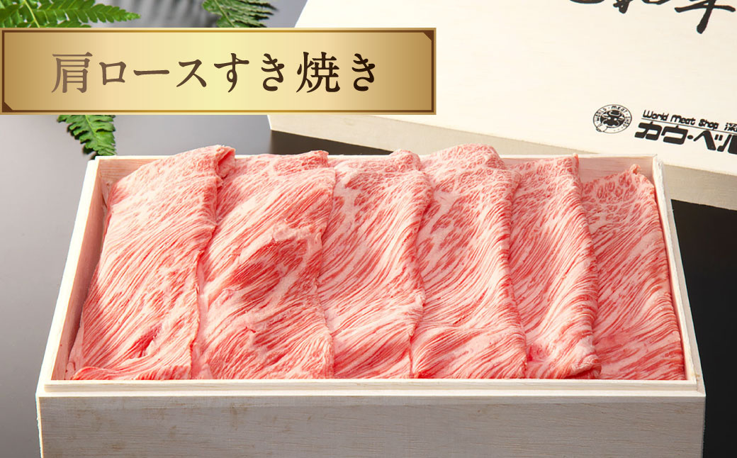 【全3回定期便】長崎和牛セット ／ 肩ロースすき焼き ロースしゃぶしゃぶ 肩ロース厚切り焼肉 和牛 国産 お肉 肉 焼き肉 すきやき 長崎 【2025年1月上旬発送開始予定】