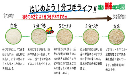 EA-6.【定期便】令和5年産 奈良県産ヒノヒカリ1等（玄米）10kg×3【5分づき】