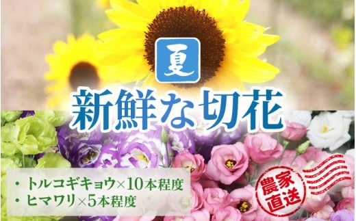 【先行予約】花農家直送 新鮮な切花【夏】  / 生花 お花 旬の花束 豊かな生活 花のある生活 15本程度 2種 季節 花 ※2026年8月上旬以降発送予定 [aw099-a002]