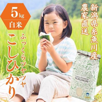 ふるさと納税 糸魚川市 令和6年産 新潟県産コシヒカリ 5kg NUKUMORI 白米 特別栽培米 農家直送 | 