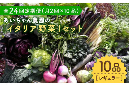 【10品×24回定期便】あいちゃん農園の「イタリア野菜」セット（レギュラー） 野菜 やさい サラダ キャベツ ブロッコリー かぶ きゅうり ナス 詰め合わせ 九州 佐賀県産 旬の野菜 有機農法 有機肥料 ギフト[FAA019]