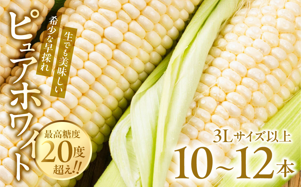 
                  【先行予約】極甘 早採れ プレミアムフルーツコーン 10 ～ 12本 3L 4L 温室栽培 高糖度 生 ピュアホワイト まるで フルーツ プレミアム コーン とうもろこし トウモロコシ 甘い 春 夏 初夏 先行予約 5月 6月 ハウス 栽培
                