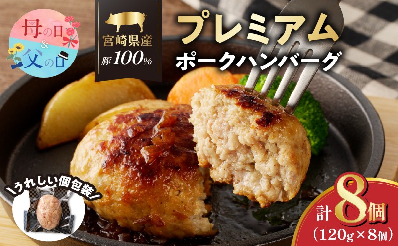 
                  【選べる発送時期】宮崎県産豚プレミアムハンバーグ(計8個) 母の日 父の日 肉 豚肉 加工品 惣菜 国産_T001-0095-o
                