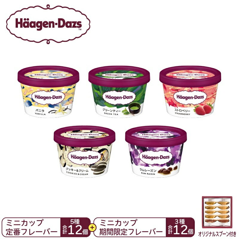 ハーゲンダッツ　パーティーセット