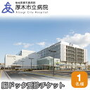 【ふるさと納税】厚木市立病院　脳ドック受診チケット ／ 健康診断 健診 検査 MRI検査 MRA検査 送料無料 神奈川県