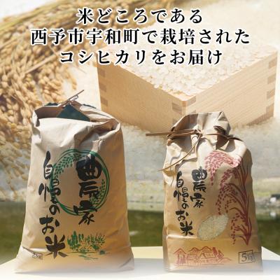 ふるさと納税 西予市 新米　令和7年産　西予市宇和町産　白米　精米　楠さんの一等米相当コシヒカリ10kg |  | 01