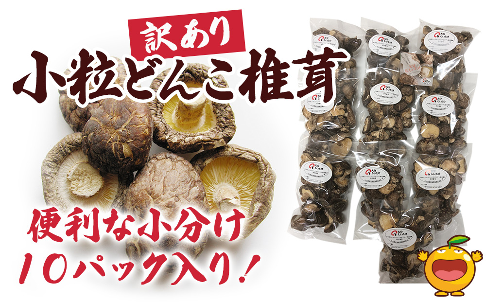 【国産】 乾燥椎茸 訳あり 小粒どんこ 50g×10パック | 干ししいたけ 大分県 津久見市 九州