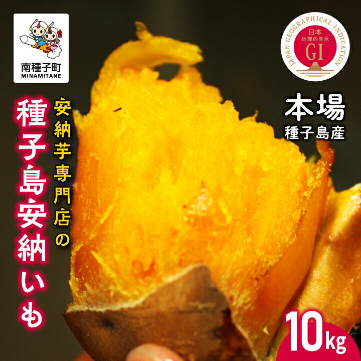 【ふるさと納税】【先行予約】 本場 種子島産 安納いも 10kg 詰め合わせ さつまいも さつま芋 安納芋 天然スイーツ 種子島 焼きいも 甘い ねっとり スイーツ おやつ 10キロ たねがしま 人気 南種子町 鹿児島 かごしま 【有限会社南種子衛生 種さん】