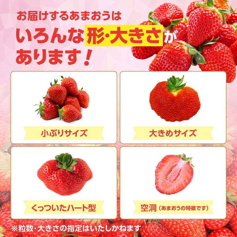 【2025年3月配送開始】福岡・博多名物ブランドいちご「あまおう」 DX（デラックス）4パック 合計約1,080g＜配送不可：北海道・沖縄・離島＞