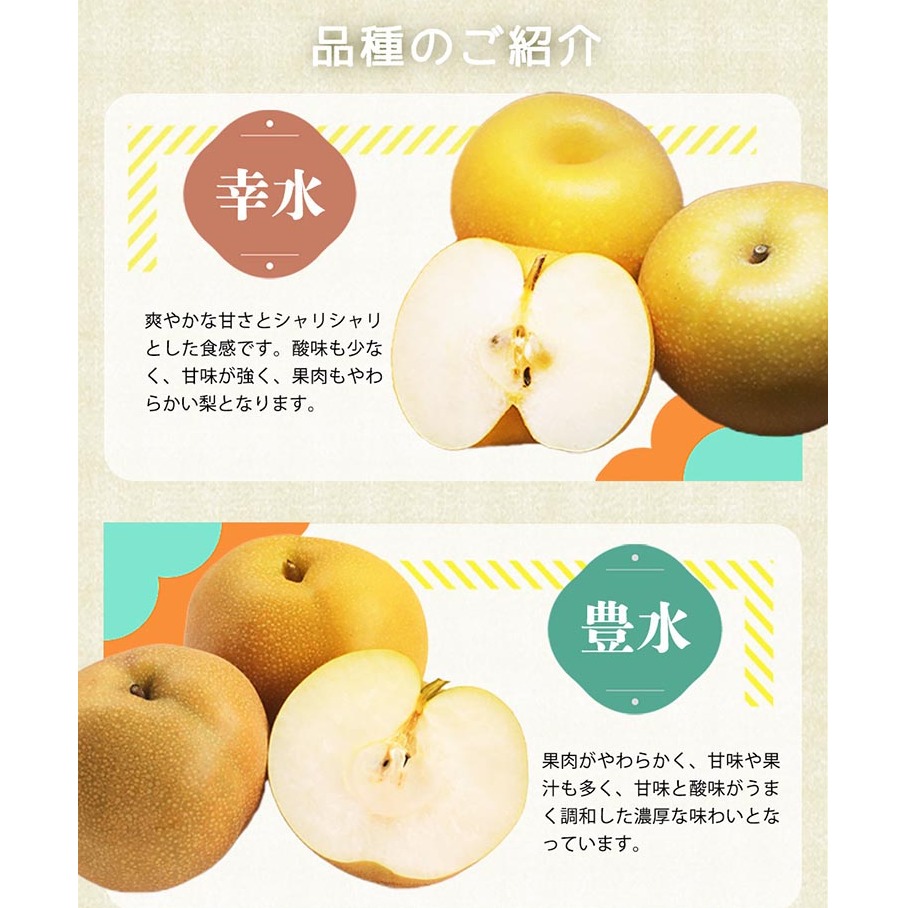 紀州和歌山産の梨 約2kg 化粧箱入◇ ※離島への配送不可 ※2025年8月下旬頃～9月上旬頃に順次発送予定_イメージ3