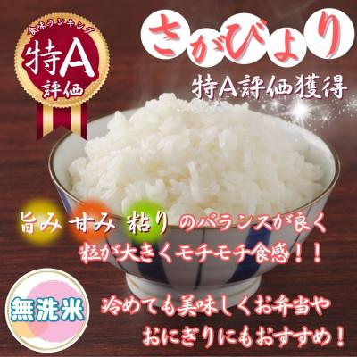 ふるさと納税 伊万里市 【毎月定期便】【無洗米】さがびより 5kg 《マイスターセレクト》(伊万里市)全12回 |  | 01