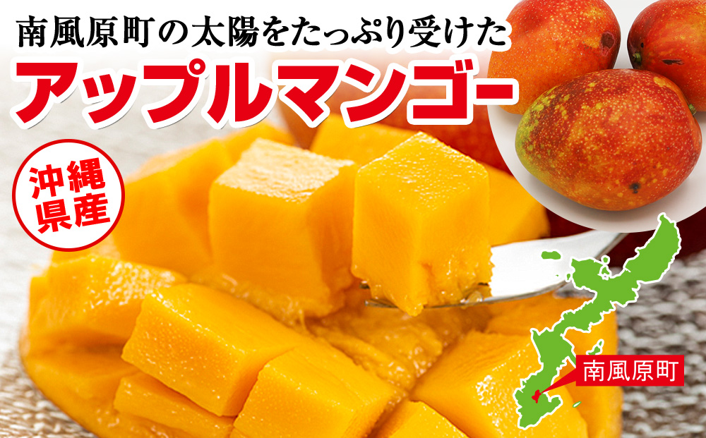【2026年発送】生産組合が育てる神里のマンゴー2kg　家庭用