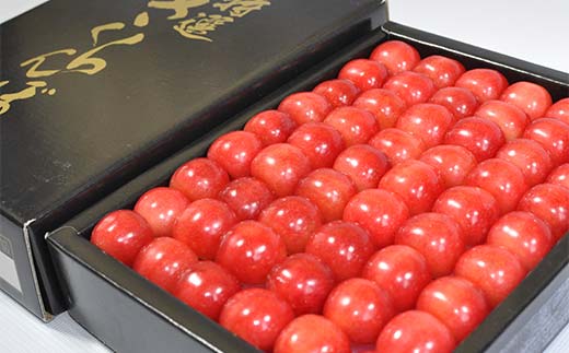 さくらんぼ佐藤錦 約500g L 特秀 鏡詰め 果物 くだもの フルーツ 夏果物 サクランボ F4A-0949