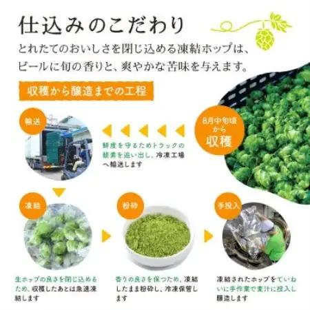 キリン 一番搾り とれたてホップ 生ビール 350ml×24本 5ケース【複数個口で配送】【4091266】
