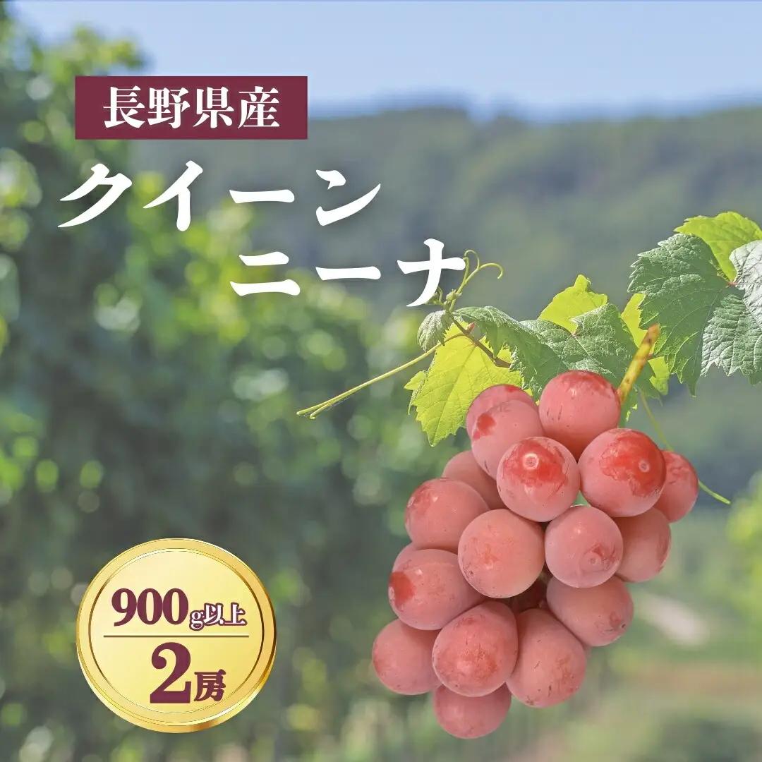 【2026年先行予約】クイーンニーナ 900g以上（2房）｜ぶどう ぶどう