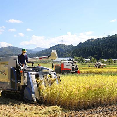 ふるさと納税 十日町市 【毎月定期便】農家直送!県認証特別栽培魚沼産コシヒカリ【合計240kg】毎月20kg 全12回 |  | 02
