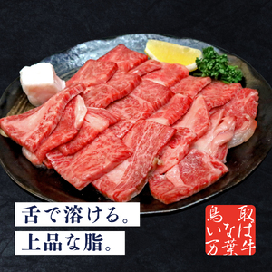 90J.鳥取いなば万葉牛カルビセット〔焼肉用〕500g