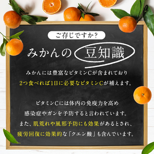 ご家庭用 訳ありみかん 10kg | 熊本県 熊本 くまもと 和水町 なごみ 柑橘 柑橘類 みかん 訳あり 家庭用 きず ずれ キズ スレ 10kg